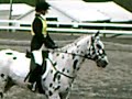 My Wonderful Ponies My Wonderful Ponies