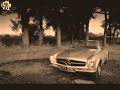 Pagoda W113