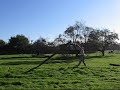 Training with the Scottish Caber
