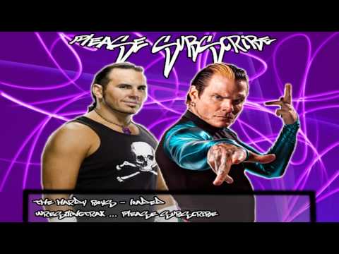 the hardys boys