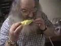 Buzzo eats corn