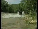 videos de XT600 PIRENÓPOLIS
