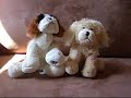 Webkinz World NEWZ!