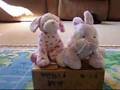 Webkinz World NEWZ!