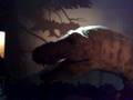 videos de Dinozaur