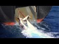 Whale-Wars-Scientifi