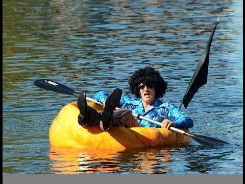 how to grow a 1 000 lb pumpkin