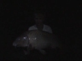 Video screenshot