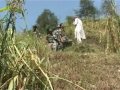 Click here to watch this video After terrorist attack (File footage).wmv