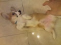 MOV00304.MP4
