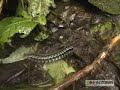 Amazing Ecuador sights and landscapes