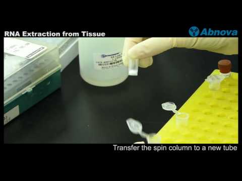 how to isolate rna from tissue