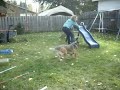 Toby Doing agility