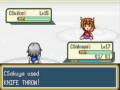 videos de Touhou ~東方人形劇~ (Touhoumon ENG) Gym Battle 1-3 (Brock, Misty & Lt.Surge)
