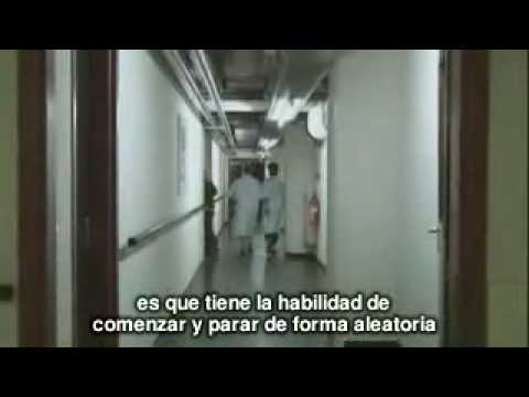 Imagen de previsualización de YouTube