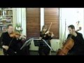 Afton Strings: music for drinks receptions and parties