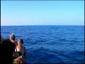 Captain Zodiac Double Whale Fluke