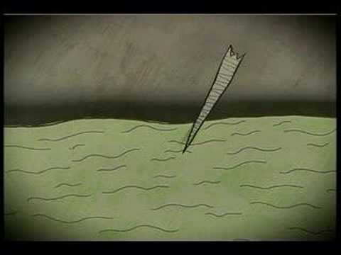 The Narwhal