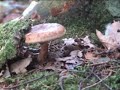 opdracht 2 opdracht 2