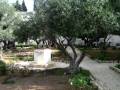 videos de 20 - Gethsemane Garden - 29/11/2008