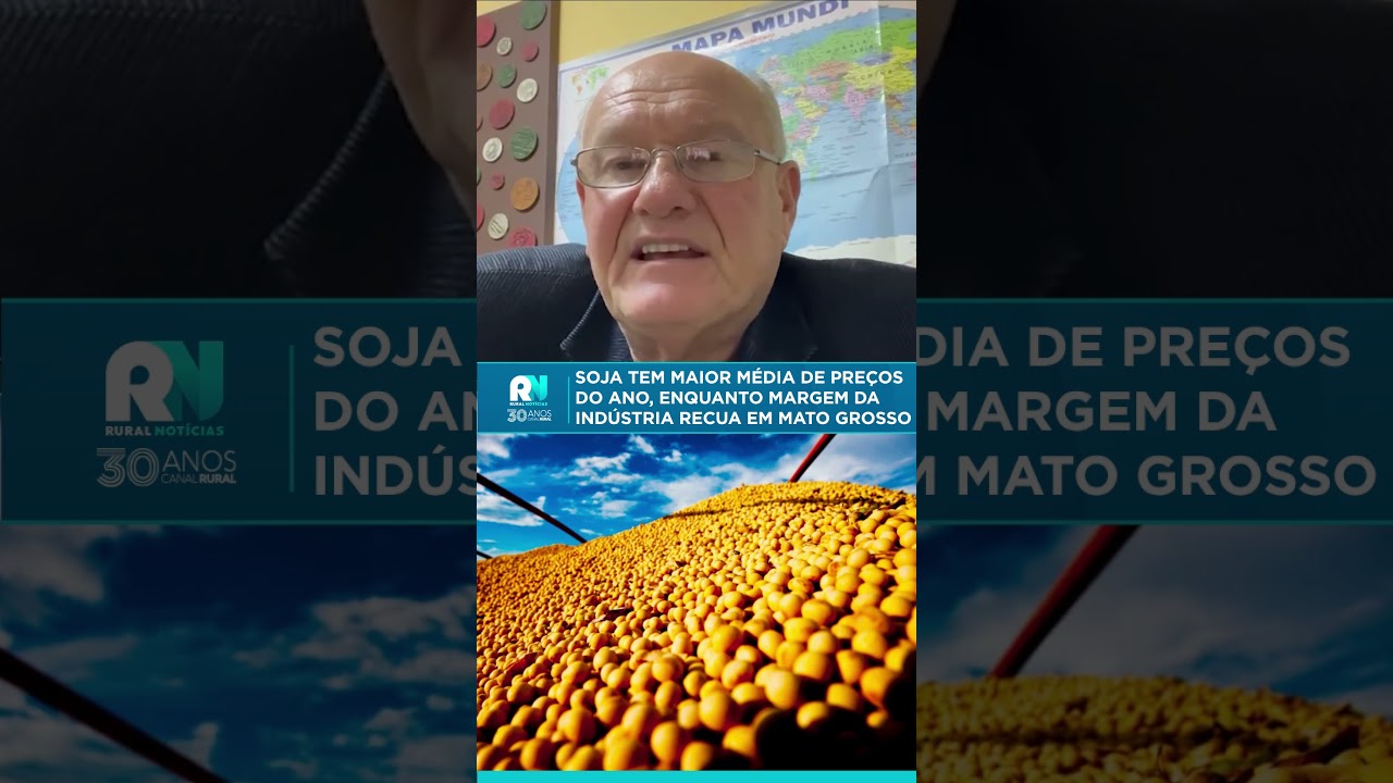 Soja tem maior média de preços do ano, enquanto margem da indústria recua em Mato Grosso