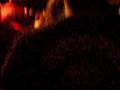 soulfly 002.mov