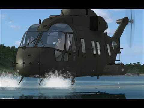 Flight Simulator X - EXTREME Low Fly By!