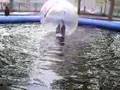 上海ハニー　其の五 (200804161503.3gp)