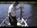 Brochet 13lbs - 13 pound Pike