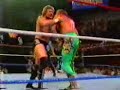 Ultimate Warrior & Jake snake Roberts vs Ted Dibiase & Akeem