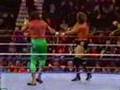 Ultimate Warrior & Jake snake Roberts vs Ted Dibiase & Akeem