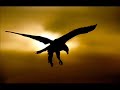 a series of beautiful native american images and music...to show my respect for all native americans and in honor of my tsalagi heritage!

song:  