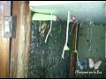 Produciendo Mariposas por la Paz de El Salvador
