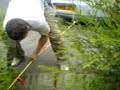 How To Uproot a Tree In 3 for FUN!!!