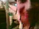 gogo-tobsen.html