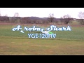 Acrobat Shark Vorsilvesterflug