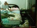 花花會咬人，我就被牠咬了。