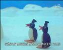Pingu is cool