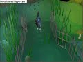 Where to Find Experiments - Runescape