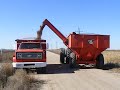 Milo 2009 Grain Bin.avi