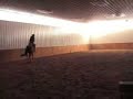 Horse bolting, bucking, rider bucked off Horse bolting, bucking, rider bucked off