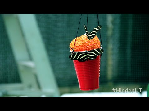 how to collect ecological data