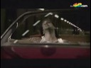 VIDEOCLIP Un violinista en tu tejado - Melendi [Canalgrupos]