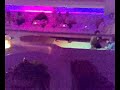 BED SUPPER CLUB - BANGKOK