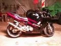 Honda CBR 600F3 1998 FOR SALE Crotch Rocket