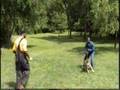 PittsburghK9-German-