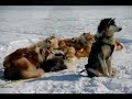 Nunavut Quest 2008