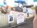 Ragazza disarcionata dal toro meccanico in 10 secondi