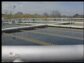 scott woody on 10 action news fishing