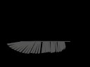Wing articulation Study